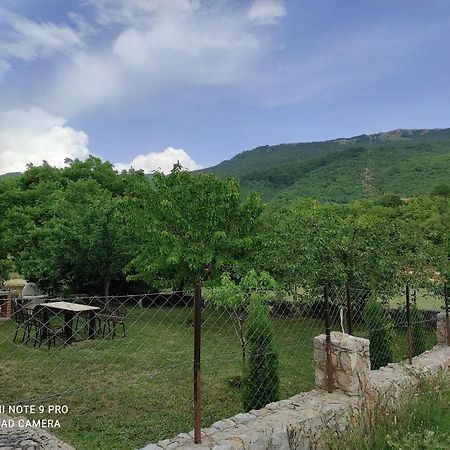 Aleks Villa Ohrid Buitenkant foto